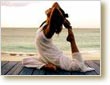 Yoga Integral Ashtanga & Iyengar